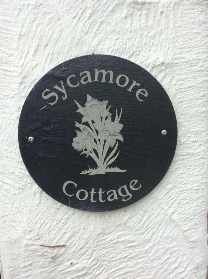 Sycamore Cottage 康威 外观 照片